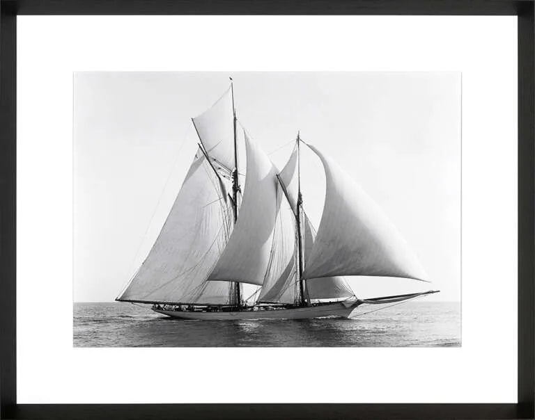 Fotoprint Merlin, 1892