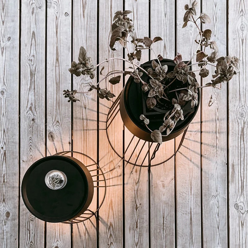 Overhead view of two Koster cage floor lamps on decking, one topped with a potted trailing plant
