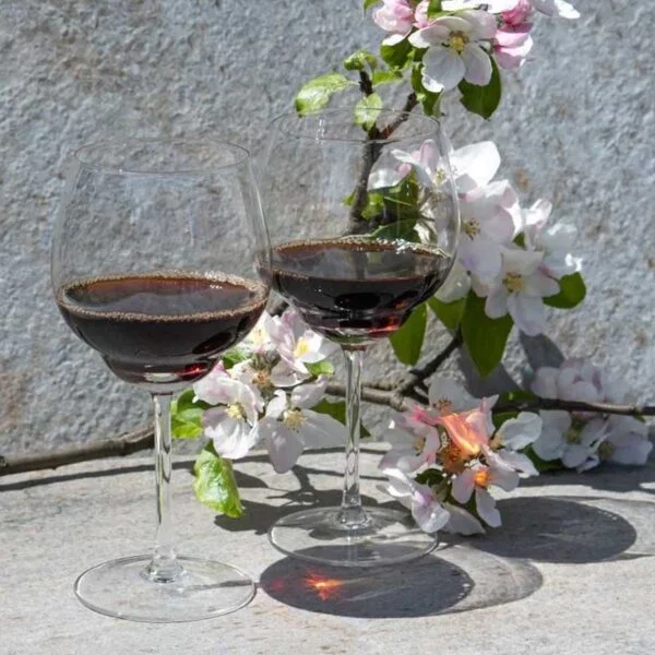Sombras de copas de vino tinto en transparente sin nubes