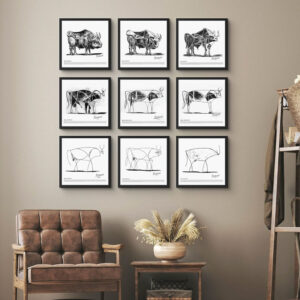 PICASSO: Geometric bulls collection