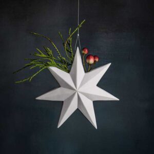 NOEL star vase