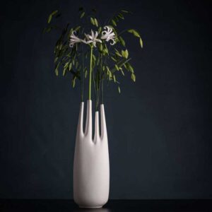 Vase Rhizom 4s alto