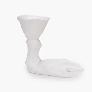 Egg cup peking duck foot white perfect imperfection