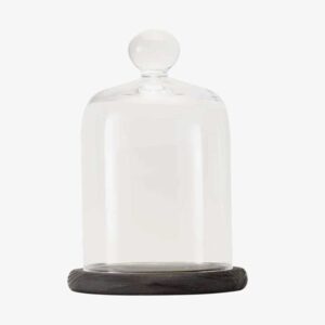 Glass Bell Jar with Wooden Base