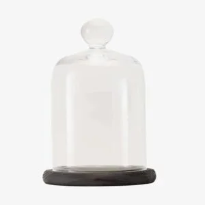 Glass Bell Jar with Wooden Base