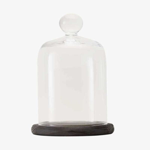 Campana de Cristal con Base de Madera