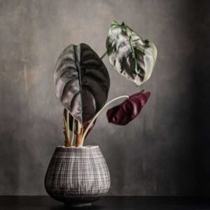 Flower pot COCOON line L black