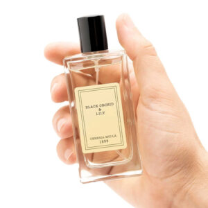 Spray Black Orchid & Lily Premium 100 ml