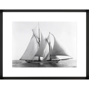 Photoprint Merlin, 1892