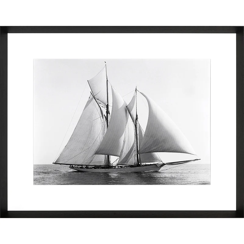 Photoprint Merlin, 1892